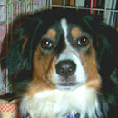 Lucy was adopted in February 2003